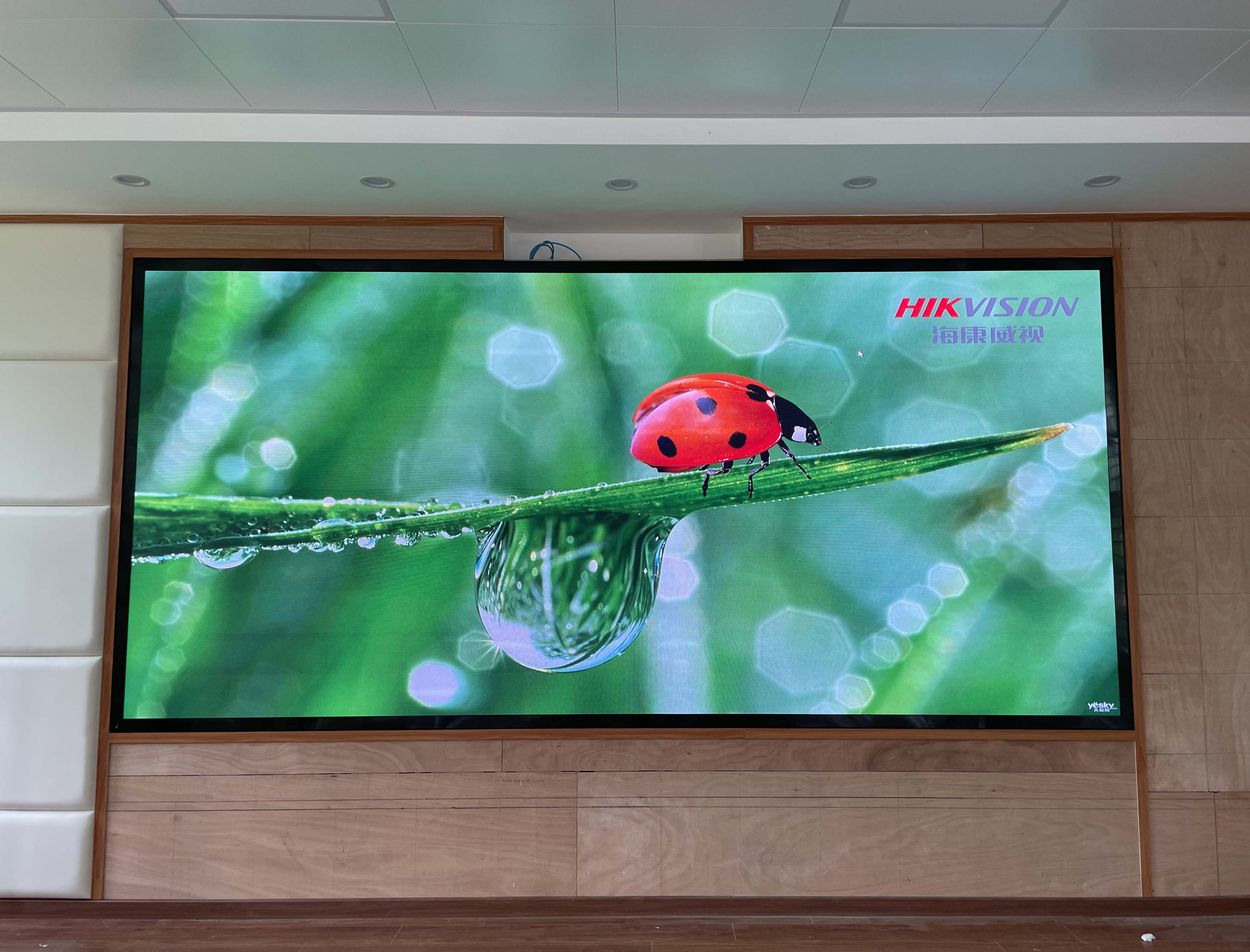 蕉嶺某單位P1.86